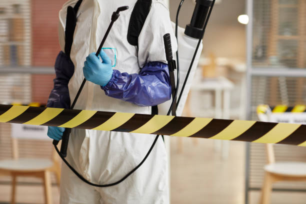 Professional Sewage Cleanup technician working in Bellwood, VA